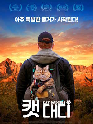 캣 대디