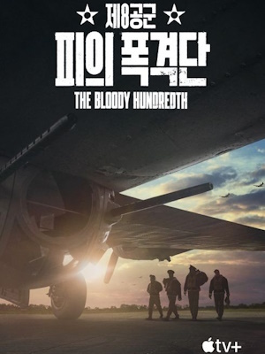 제8공군: 피의 폭격단
