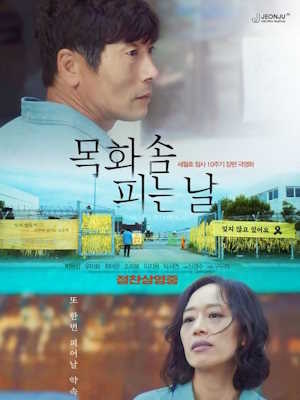 목화솜 피는 날