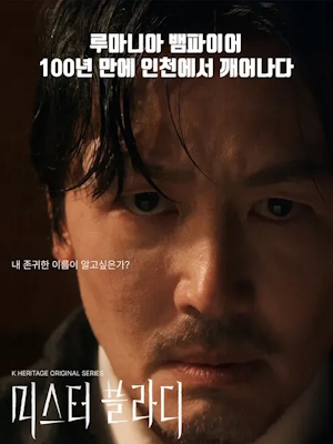 미스터 블라디