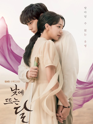 낮에 뜨는 달
