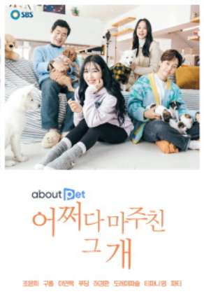 어쩌다 마주친 그 개